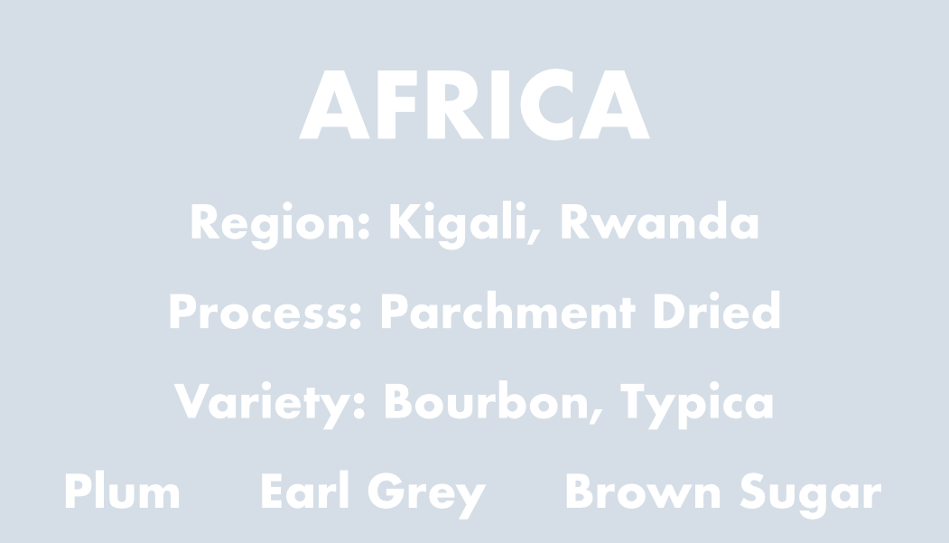 Africa Wholebean 250g (Wholesale)