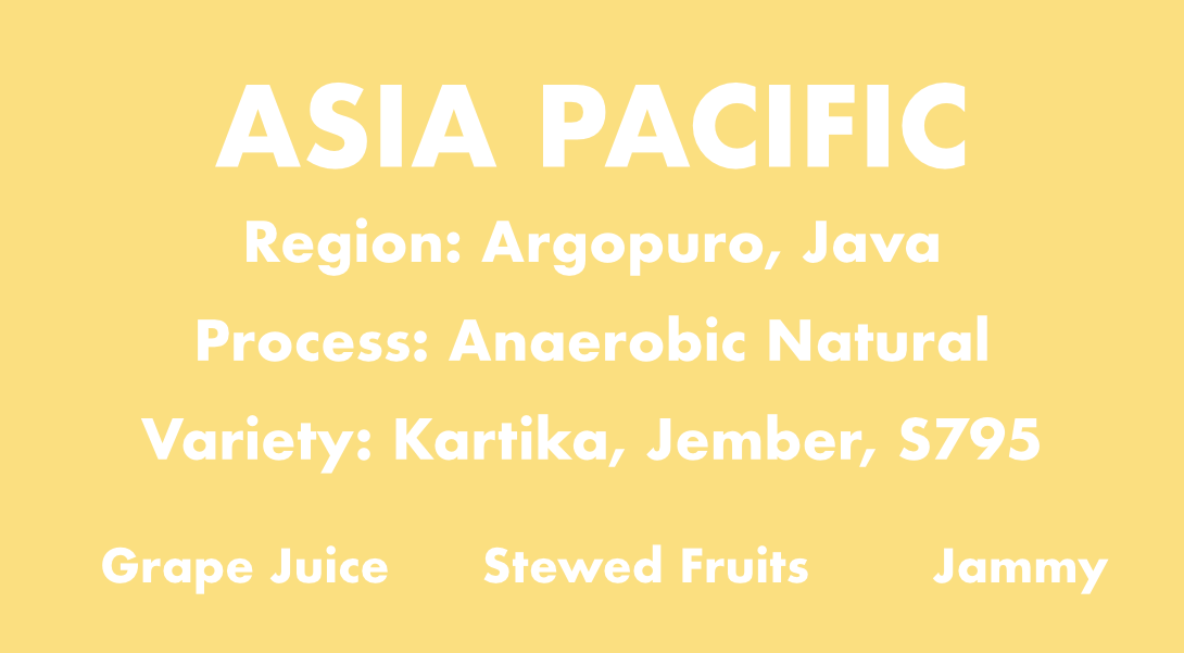5lb Asia Pacific Wholebean