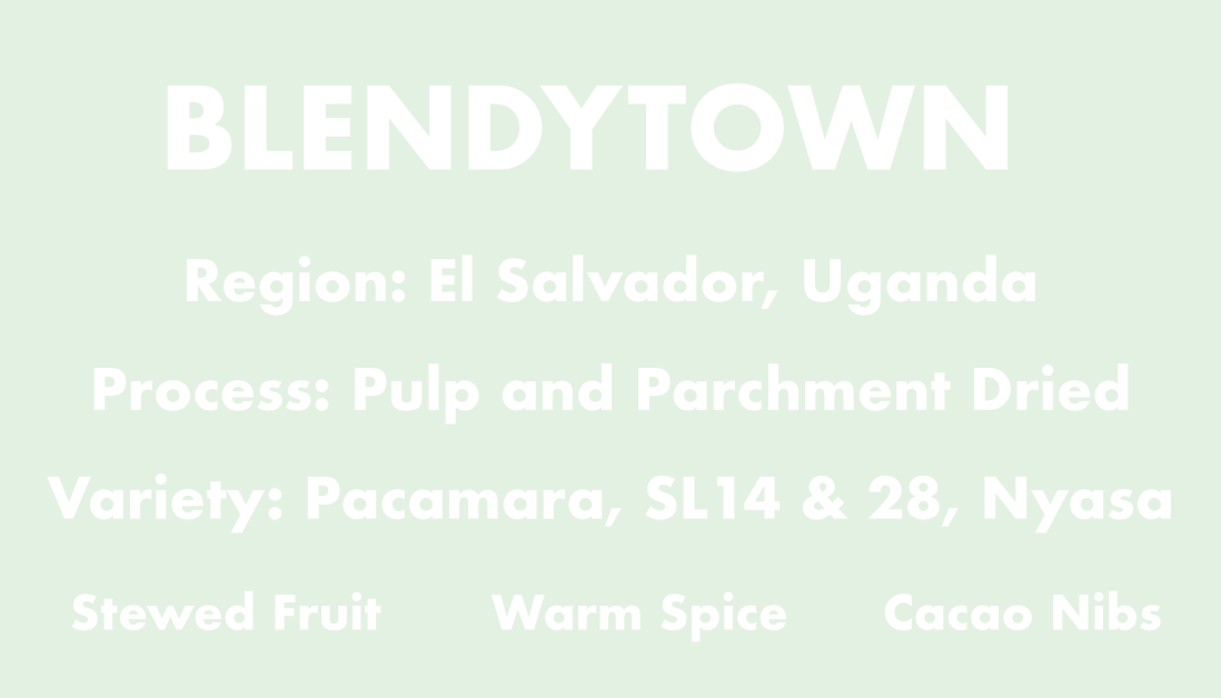 Blendytown Wholebean 250g